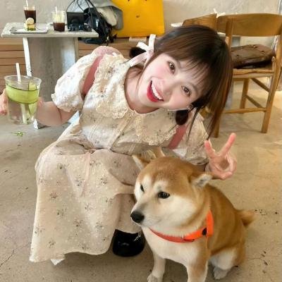 痞子无间道国语